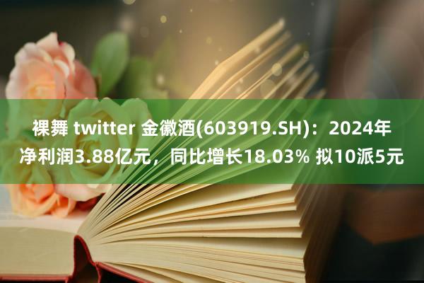 裸舞 twitter 金徽酒(603919.SH)：2024年净利润3.88亿元，同比增长18.03% 拟10派5元