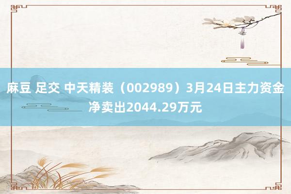 麻豆 足交 中天精装（002989）3月24日主力资金净卖出2044.29万元