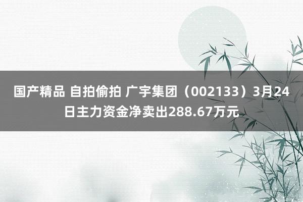 国产精品 自拍偷拍 广宇集团（002133）3月24日主力资金净卖出288.67万元