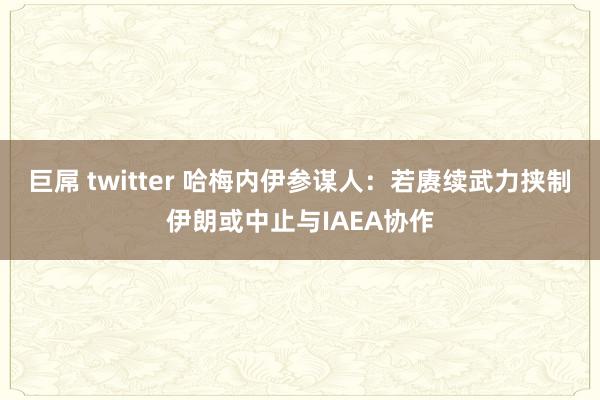 巨屌 twitter 哈梅内伊参谋人：若赓续武力挟制　伊朗或中止与IAEA协作