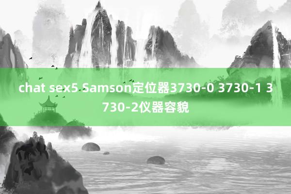chat sex5 Samson定位器3730-0 3730-1 3730-2仪器容貌