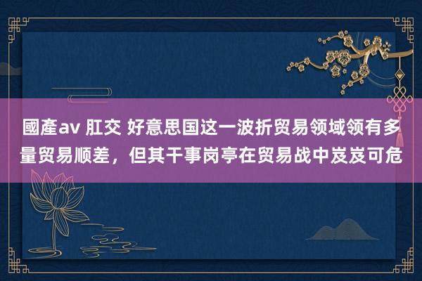 國產av 肛交 好意思国这一波折贸易领域领有多量贸易顺差，但其干事岗亭在贸易战中岌岌可危