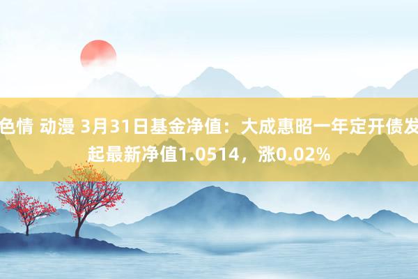 色情 动漫 3月31日基金净值：大成惠昭一年定开债发起最新净值1.0514，涨0.02%