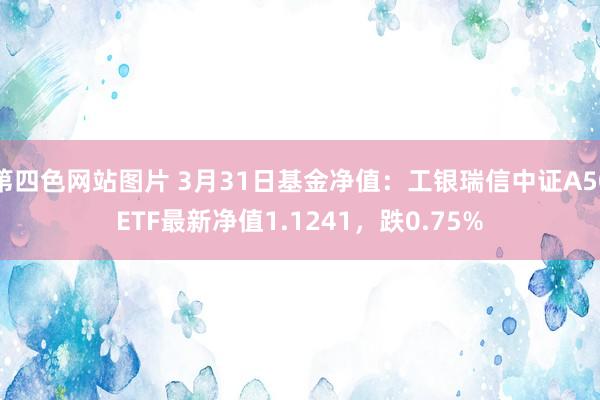 第四色网站图片 3月31日基金净值：工银瑞信中证A50ETF最新净值1.1241，跌0.75%