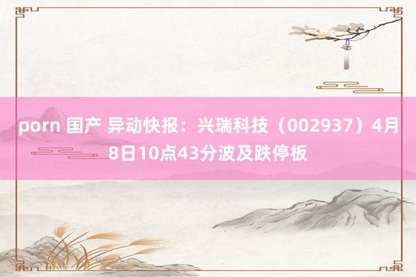 porn 国产 异动快报：兴瑞科技（002937）4月8日10点43分波及跌停板