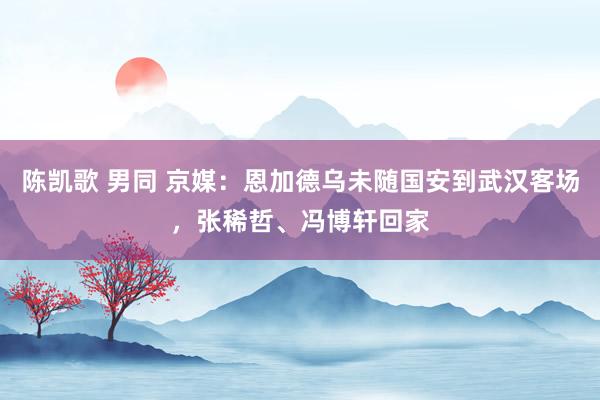 陈凯歌 男同 京媒：恩加德乌未随国安到武汉客场，张稀哲、冯博轩回家