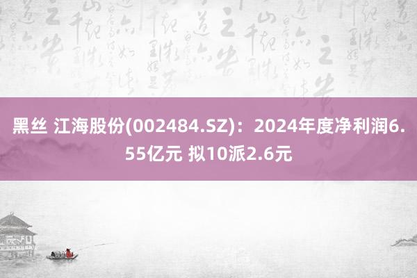黑丝 江海股份(002484.SZ)：2024年度净利润6.55亿元 拟10派2.6元