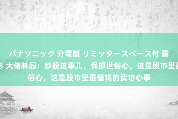 パナソニック 分電盤 リミッタースペース付 露出・半埋込両用形 大佬林园：炒股这事儿，保抓世俗心，这是股市里最值钱的武功心事