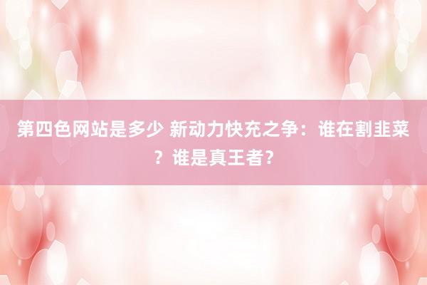 第四色网站是多少 新动力快充之争：谁在割韭菜？谁是真王者？