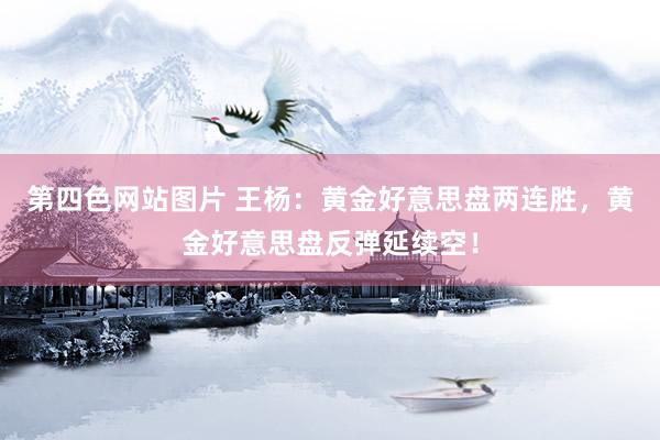 第四色网站图片 王杨：黄金好意思盘两连胜，黄金好意思盘反弹延续空！