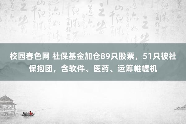 校园春色网 社保基金加仓89只股票，51只被社保抱团，含软件、医药、运筹帷幄机
