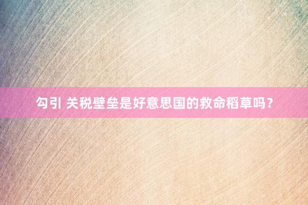 勾引 关税壁垒是好意思国的救命稻草吗？