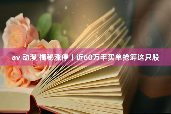 av 动漫 揭秘涨停丨近60万手买单抢筹这只股