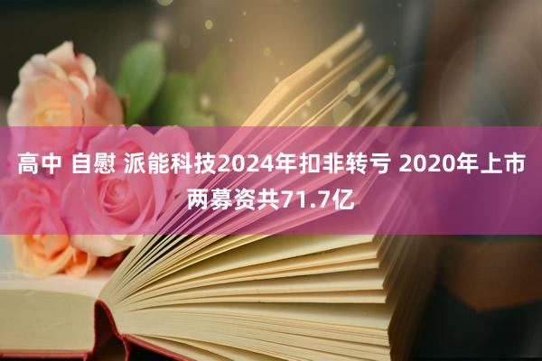 高中 自慰 派能科技2024年扣非转亏 2020年上市两募资共71.7亿