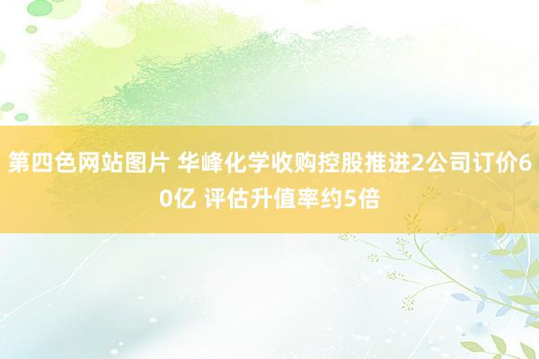 第四色网站图片 华峰化学收购控股推进2公司订价60亿 评估升值率约5倍