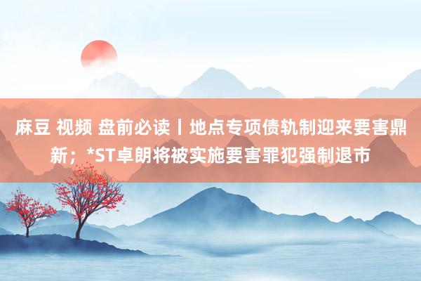 麻豆 视频 盘前必读丨地点专项债轨制迎来要害鼎新；*ST卓朗将被实施要害罪犯强制退市