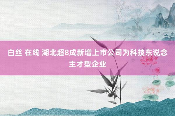 白丝 在线 湖北超8成新增上市公司为科技东说念主才型企业