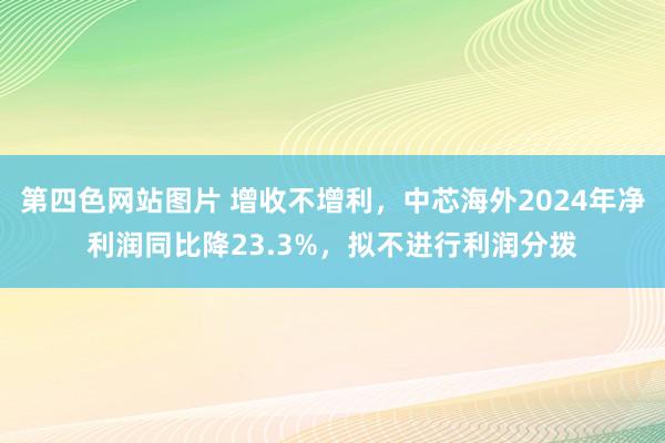 第四色网站图片 增收不增利，中芯海外2024年净利润同比降23.3%，拟不进行利润分拨
