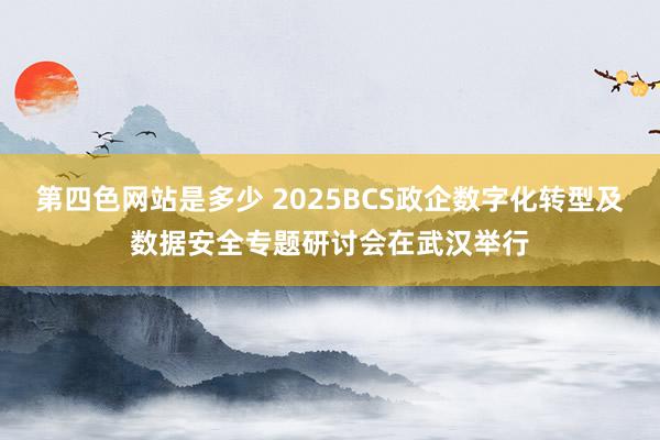 第四色网站是多少 2025BCS政企数字化转型及数据安全专题研讨会在武汉举行