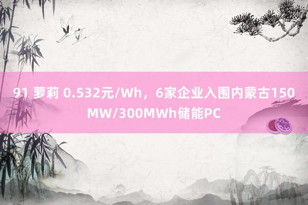 91 萝莉 0.532元/Wh，6家企业入围内蒙古150MW/300MWh储能PC