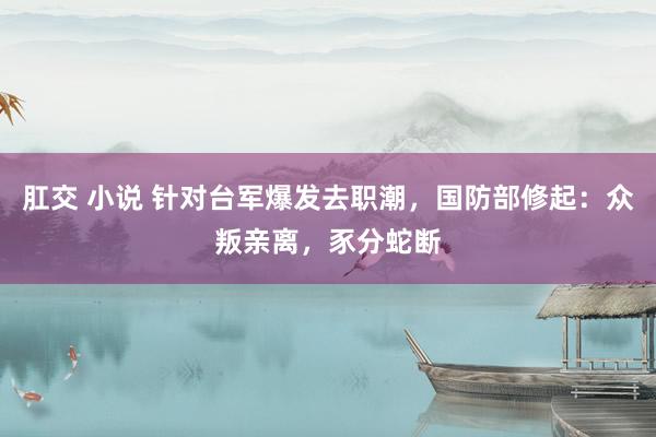 肛交 小说 针对台军爆发去职潮，国防部修起：众叛亲离，豕分蛇断