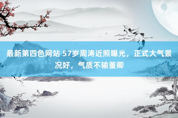 最新第四色网站 57岁周涛近照曝光，正式大气景况好，气质不输董卿
